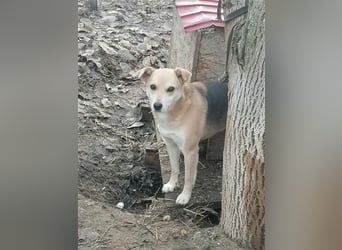 Lupita - sehr liebes Mädchen im besten Alter