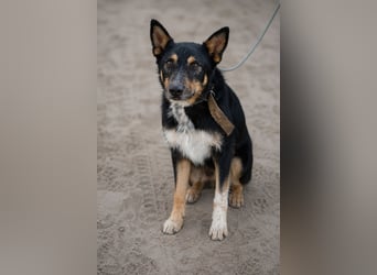 Mirko - Sanfter Senior sucht endlich sein Glück