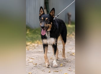 Mirko - Sanfter Senior sucht endlich sein Glück