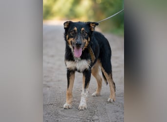 Mirko - Sanfter Senior sucht endlich sein Glück