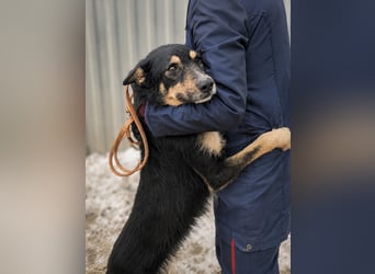 Mirko - Sanfter Senior sucht endlich sein Glück