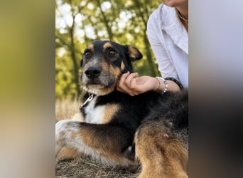 Mirko - Sanfter Senior sucht endlich sein Glück
