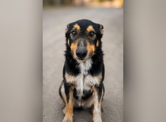 Mirko - Sanfter Senior sucht endlich sein Glück