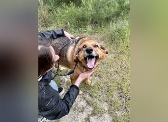 Kuschelbär MATTEO sucht eine Familie!