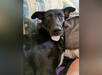 Elly sucht liebe Menschen