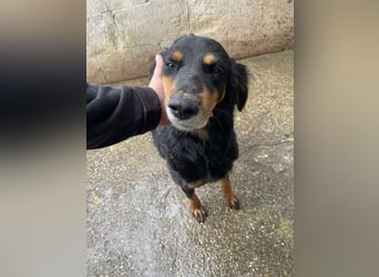 Ein gaaaanz besonders großer Schatz ist „MINKA“ Ein gaaaanz besonders großer Schatz ist „MINKA“