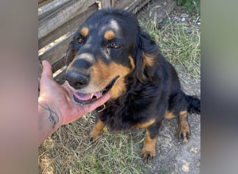 Ein gaaaanz besonders großer Schatz ist „MINKA“ Ein gaaaanz besonders großer Schatz ist „MINKA“