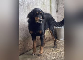 Ein gaaaanz besonders großer Schatz ist „MINKA“ Ein gaaaanz besonders großer Schatz ist „MINKA“