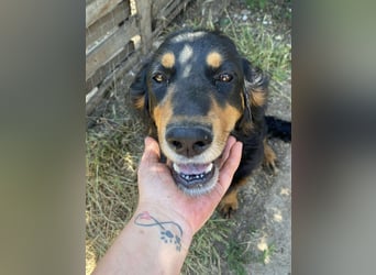 Ein gaaaanz besonders großer Schatz ist „MINKA“ Ein gaaaanz besonders großer Schatz ist „MINKA“