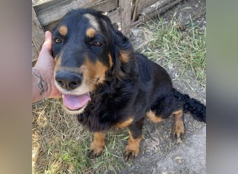 Ein gaaaanz besonders großer Schatz ist „MINKA“ Ein gaaaanz besonders großer Schatz ist „MINKA“