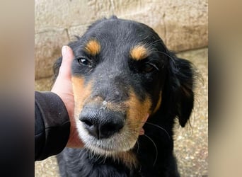 Ein gaaaanz besonders großer Schatz ist „MINKA“ Ein gaaaanz besonders großer Schatz ist „MINKA“