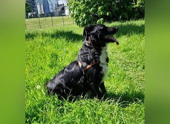 Cindy sucht ihr Traumzuhause-wartet in 94227 Zwiesel