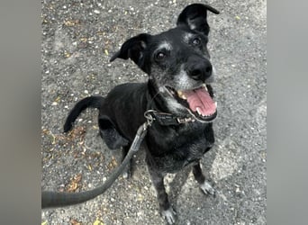 Missy sucht Geborgenheit