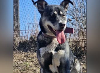 Kayana sucht Spiel und Spaß