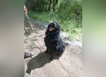 Filip, geb. 03.2024, 55cm sucht geduldige Herzensmenschen