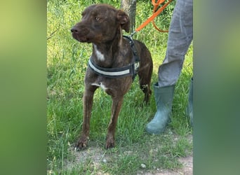 Philip, geb. 04/25, 53 cm wartet auf seine Menschen