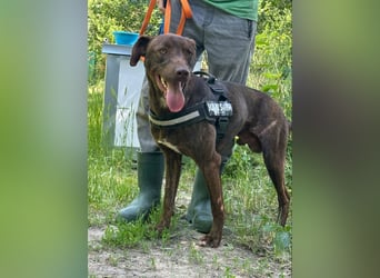 Philip, geb. 04/25, 53 cm wartet auf seine Menschen