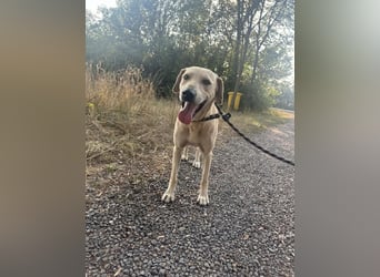 Max, geb. 06.2024, 55cm sucht sein Zuhause