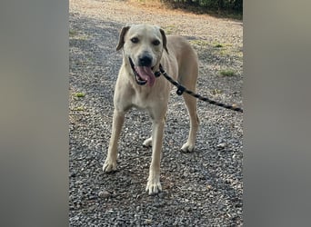 Max, geb. 06.2024, 55cm sucht sein Zuhause