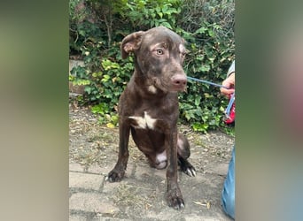 Philip, geb. 28.04.2025, 53 cm, sucht nach seinen Menschen