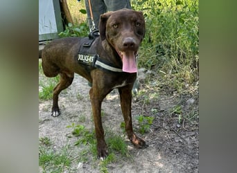Philip, geb. 04/25, 53 cm wartet auf seine Menschen