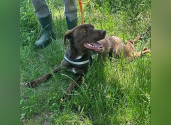 Philip, geb. 04/25, 53 cm wartet auf seine Menschen