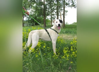 Timur, geb. 01.11.2023, 55 cm, wartet auf seine Familie