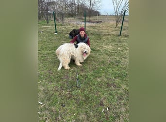 Zelda, geboren 01.06.2022, 62cm sucht ihr Glück