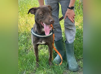Philip, geb. 04/25, 53 cm wartet auf seine Menschen