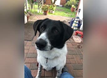 Ella, geboren 01.2025, 60cm sucht neues Zuhause