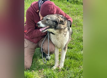 Sunny, geboren 01.12.2019, 63cm sucht ihr Glück