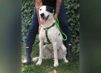 Timur, geb. 01.11.2023, 55 cm, wartet auf seine Familie