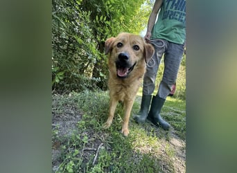 Debi, geb. 06.2024, 56cm sucht ihr Zuhause