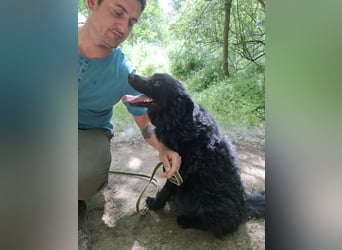 Filip, geb. 03.2024, 55cm sucht geduldige Herzensmenschen