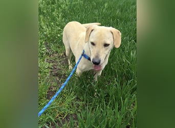 Max, geb. 06.2024, 55cm sucht sein Zuhause