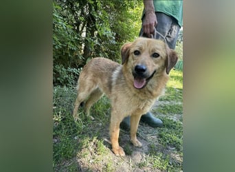 Debi, geb. 06.2024, 56cm sucht ihr Zuhause