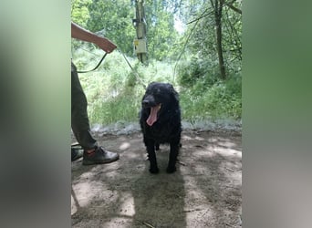 Filip, geb. 03.2024, 55cm sucht geduldige Herzensmenschen