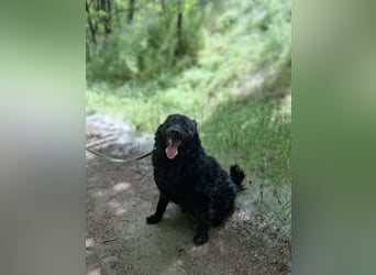 Filip, geb. 03.2024, 55cm sucht geduldige Herzensmenschen