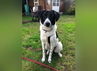 Ella, geboren 01.2025, 60cm sucht neues Zuhause