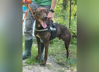 Philip, geb. 28.04.2025, 53 cm, sucht nach seinen Menschen