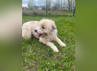 Zelda, geboren 01.06.2022, 62cm sucht ihr Glück