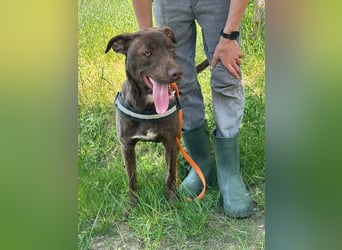 Philip, geb. 28.04.2025, 53 cm, sucht nach seinen Menschen