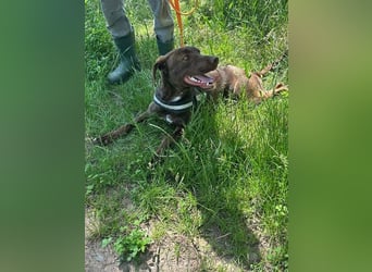 Philip, geb. 28.04.2025, 53 cm, sucht nach seinen Menschen