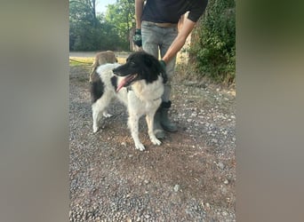 Monn, geb. 10/2021, 60 cm, sucht Liebe und Sicherheit