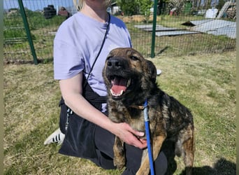 Samy, geb. 08.2022, 56cm, sucht liebevolle Menschen