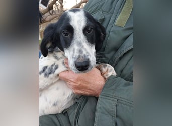 Conny wartet auf ihre Menschen!