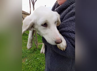 Angel-ein Engel sucht seinen Wirkungskreis