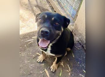 TRUDY – Eine Seele voller Liebe hinter kalten Gittern