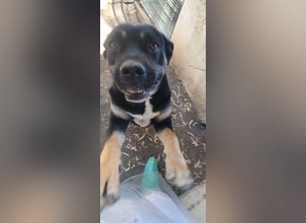TRUDY – Eine Seele voller Liebe hinter kalten Gittern