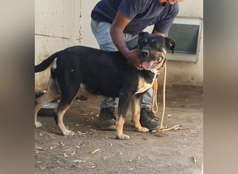 TRUDY – Eine Seele voller Liebe hinter kalten Gittern